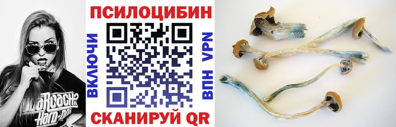 Псилоцибиновые грибы мухоморы  Купить где  Курган 